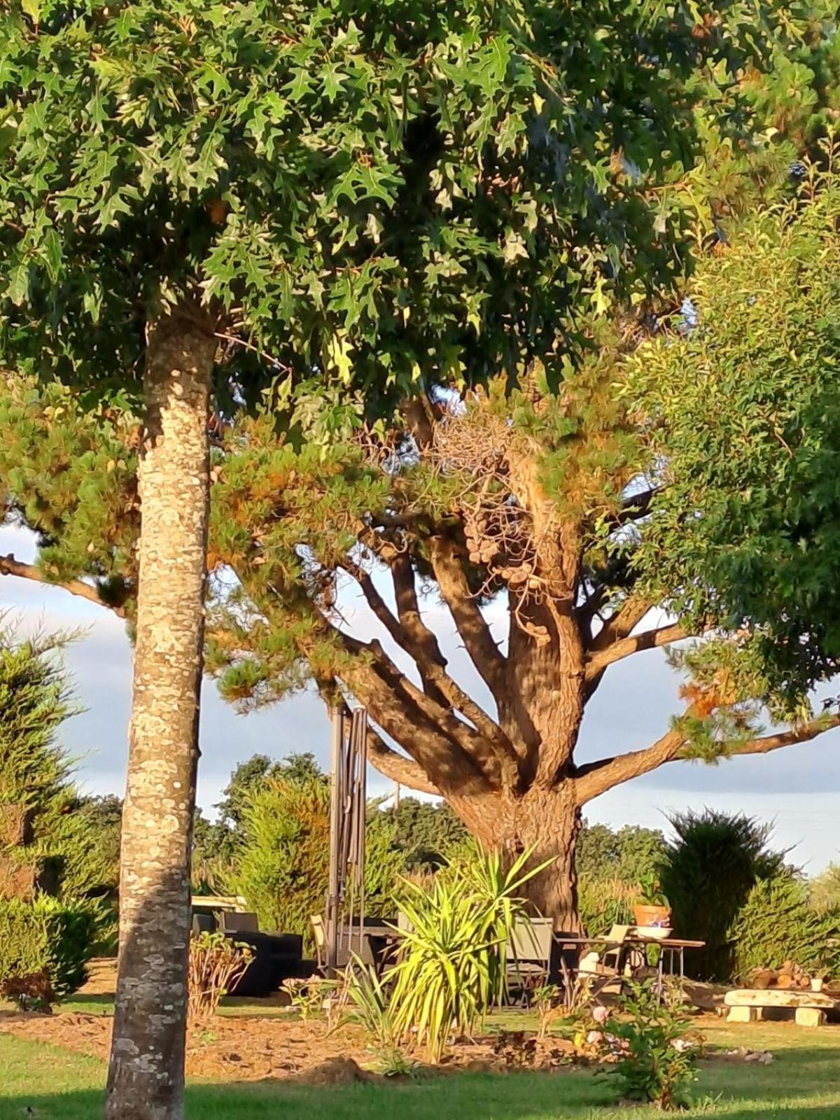 Gite En Campagne Lamegritniere Exteriér fotografie