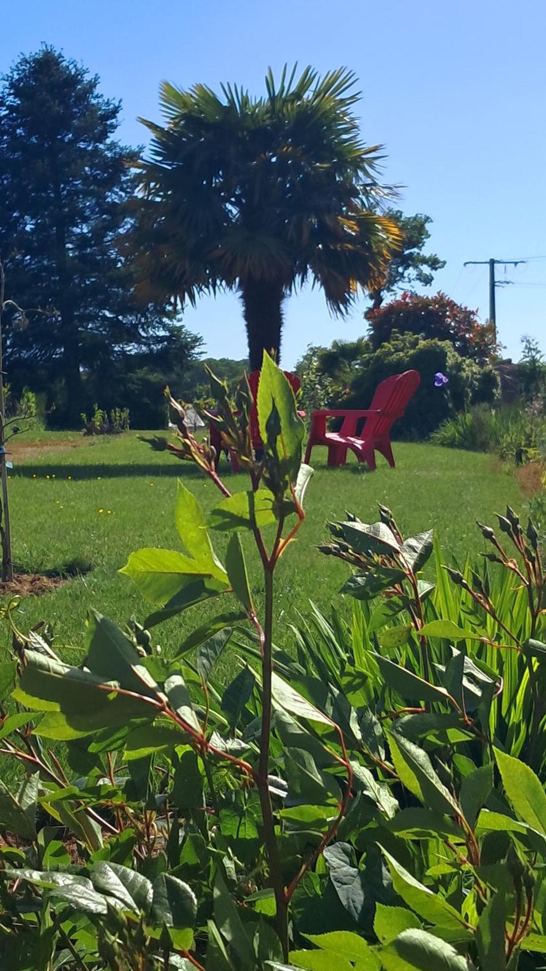 Gite En Campagne Lamegritniere Exteriér fotografie